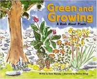 Green and growing : a book about plants