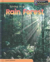 Living in a rain forest
