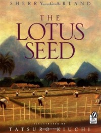 The lotus seed