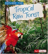 Explore the tropical rain forest