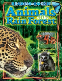 Animals of the rain forest