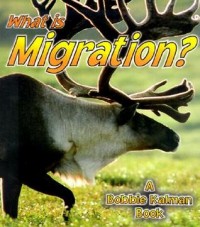 What is migration?