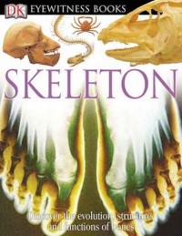 Skeleton