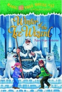 Winter of the ice wizard