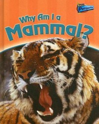 Why am I a mammal?