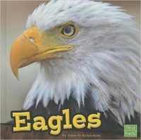 Eagles