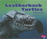 Leatherback turtles