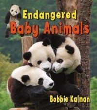 Endangered baby animals
