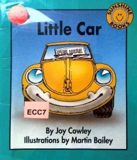 Little car