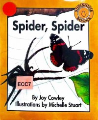 Spider, spider
