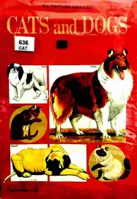 Cats and dogs