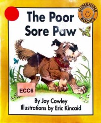 The poor sore paw