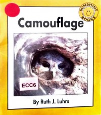 Camouflage