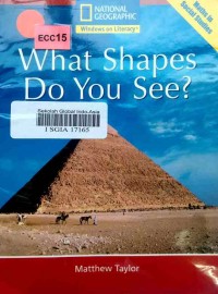 What shapes do you see?
