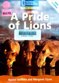 A pride of lions