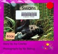 Swans
