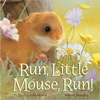 Run little mouse, run! : cepat lari tikus kecil!