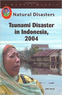 Tsunami disaster in Indonesia, 2004