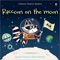 Raccoon on the moon