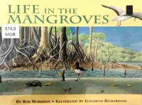 Life in the mangroves