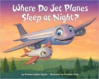 Where do jet planes sleep at night?