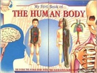 My first book of the human body