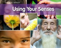 The Five Senses: Using Your Senses