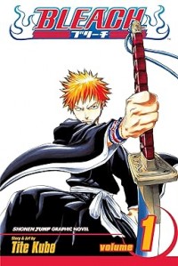 Bleach, Vol. 1