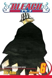 Bleach, Vol. 6