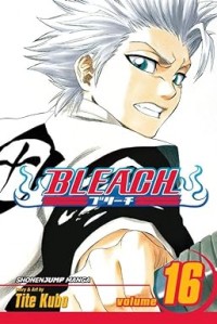 Bleach, Vol. 16: Knight of Wijnruit
